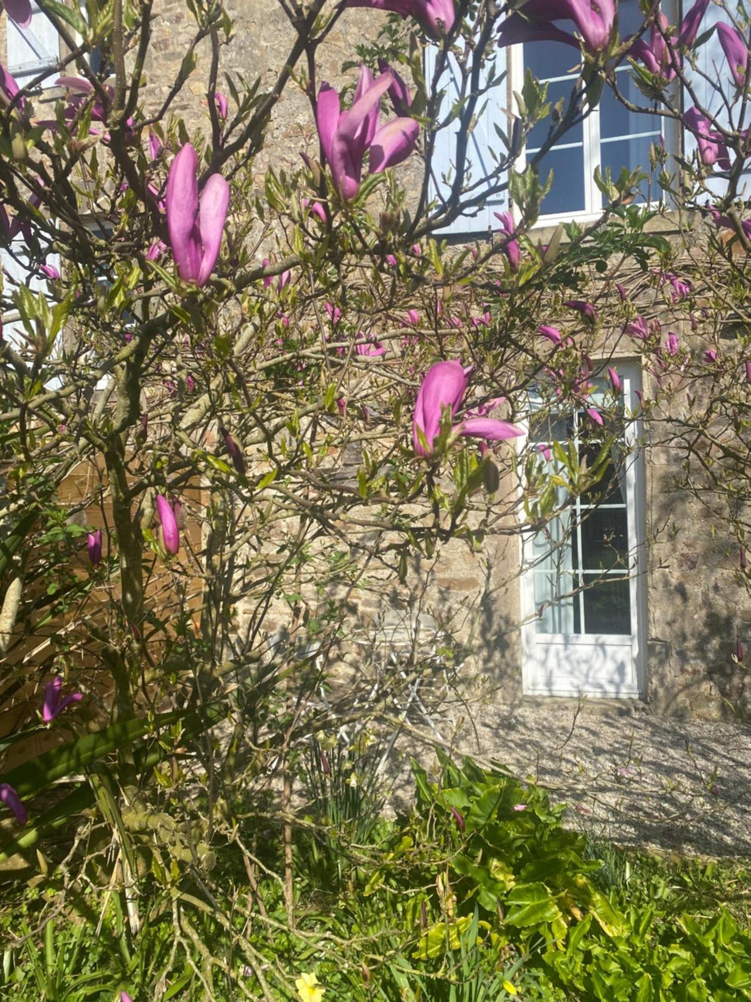Chambre D'Hotes La Ferte Saint-Floxel Εξωτερικό φωτογραφία